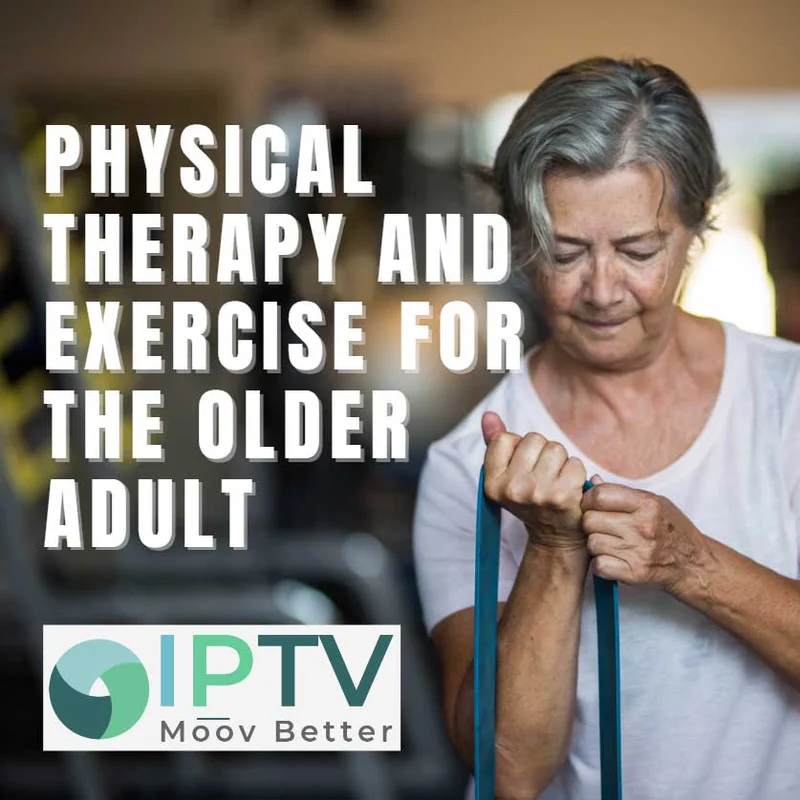 Physical Therapy and Types of Exercises for Older Adults