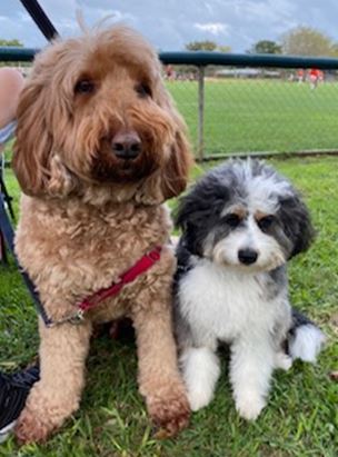 Charlie and Toby